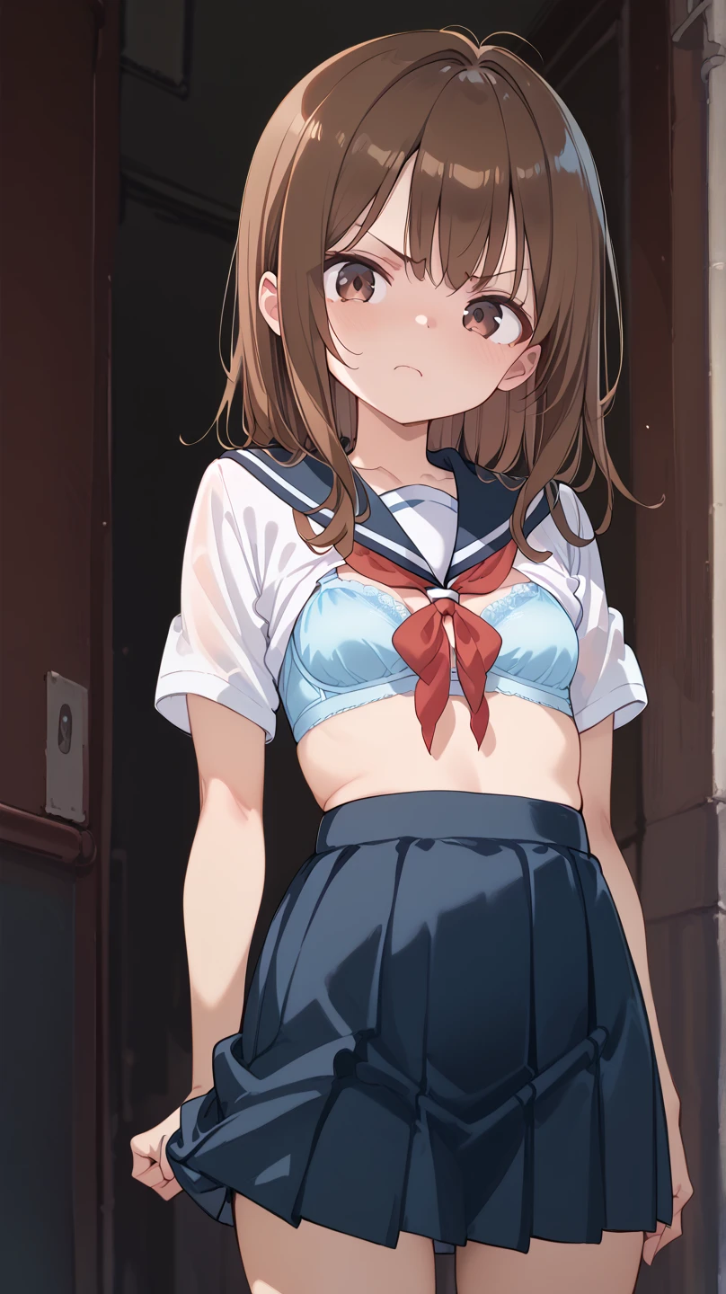 masterpiece, best quality, brown hair, twintails, 10yo, (petite), cowboy shot, from above,
seductive smile, :o, standing, sailor uniform, clothes lift, bare small breasts, nipples, (street),