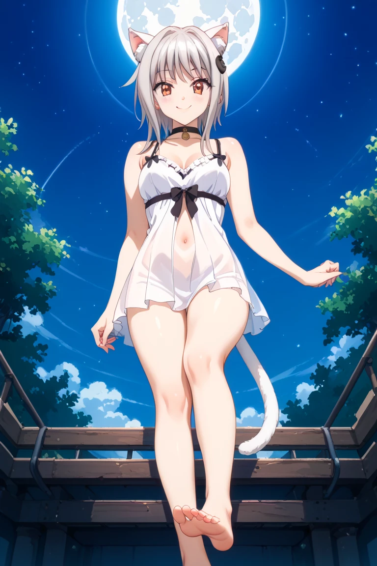 (Masterpiece), (Top Quality Anime Illustrations), (Ultra High Definition CG), One Girl, Solo, Beautiful Girl with Silver Hair, Anime Loli, Cat Ear Loli, Petite, Thigh Emphasis, Light Blue and Gold and Silver Cheongsam, Side Breasts, Side, Low Rise Panties, Smile, Buttocks, Buttocks Up, Back Cutout, Bamboo Forest