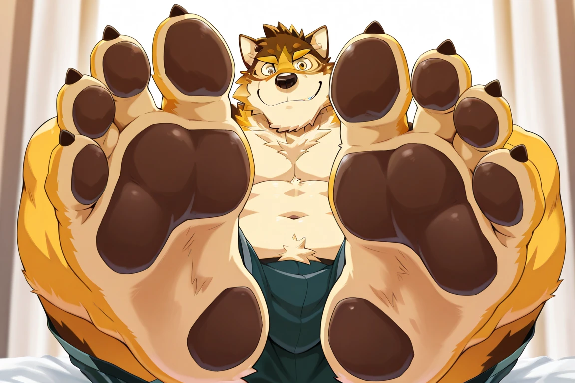 big furry muscular male, lion, mature man, green eyes, lying on a bed, barefoot, no shoes,sharp_toenails shorts, blushing, spread legs, legs up, soles visible, low angle view