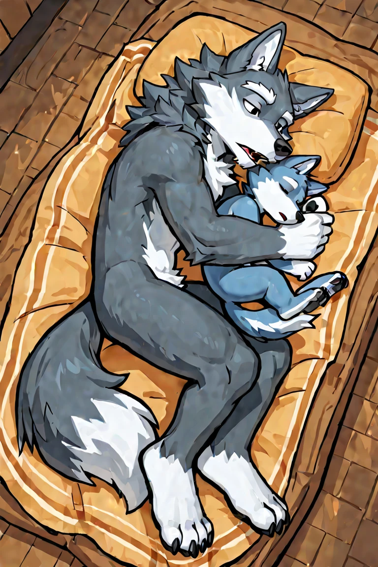 Wolf, Boys, 2 people, Lower body only, Dynamic angle, Sex, Insertion, Semen, Bed, Intense, Convulsions, Twitching, Shaking, Trembling, Violated from above, Grey fur, Furry