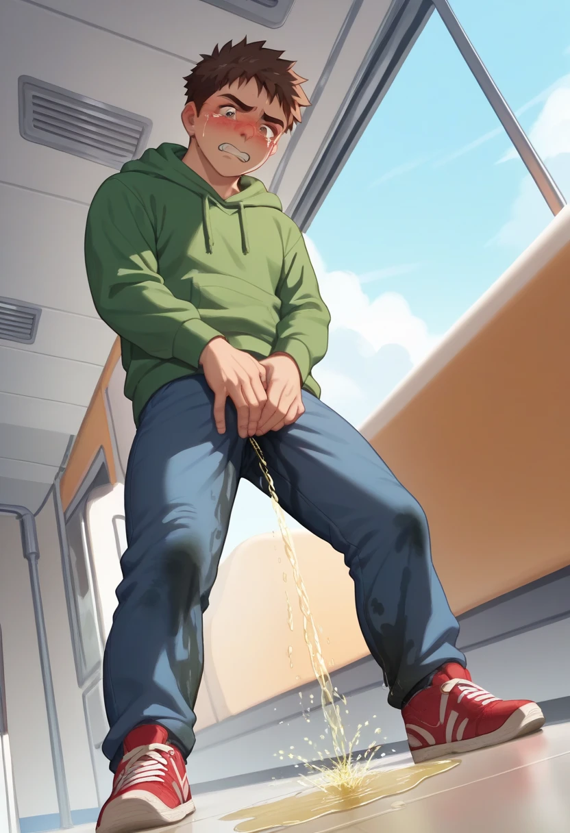 ((solo, 1boy,)), full body, standing, green hoodie, blue pants, red sneakers short hair, bangs, dark brown hair,, ((((peeing self, wetting self, pee stains, puddle)))), night time, park background, under street lights, starry sky, outdoors, seen from below, dynamic angle, blushing, penis bulge, (looking down, blushing, screaming, shocked expression, hands on head, standing)