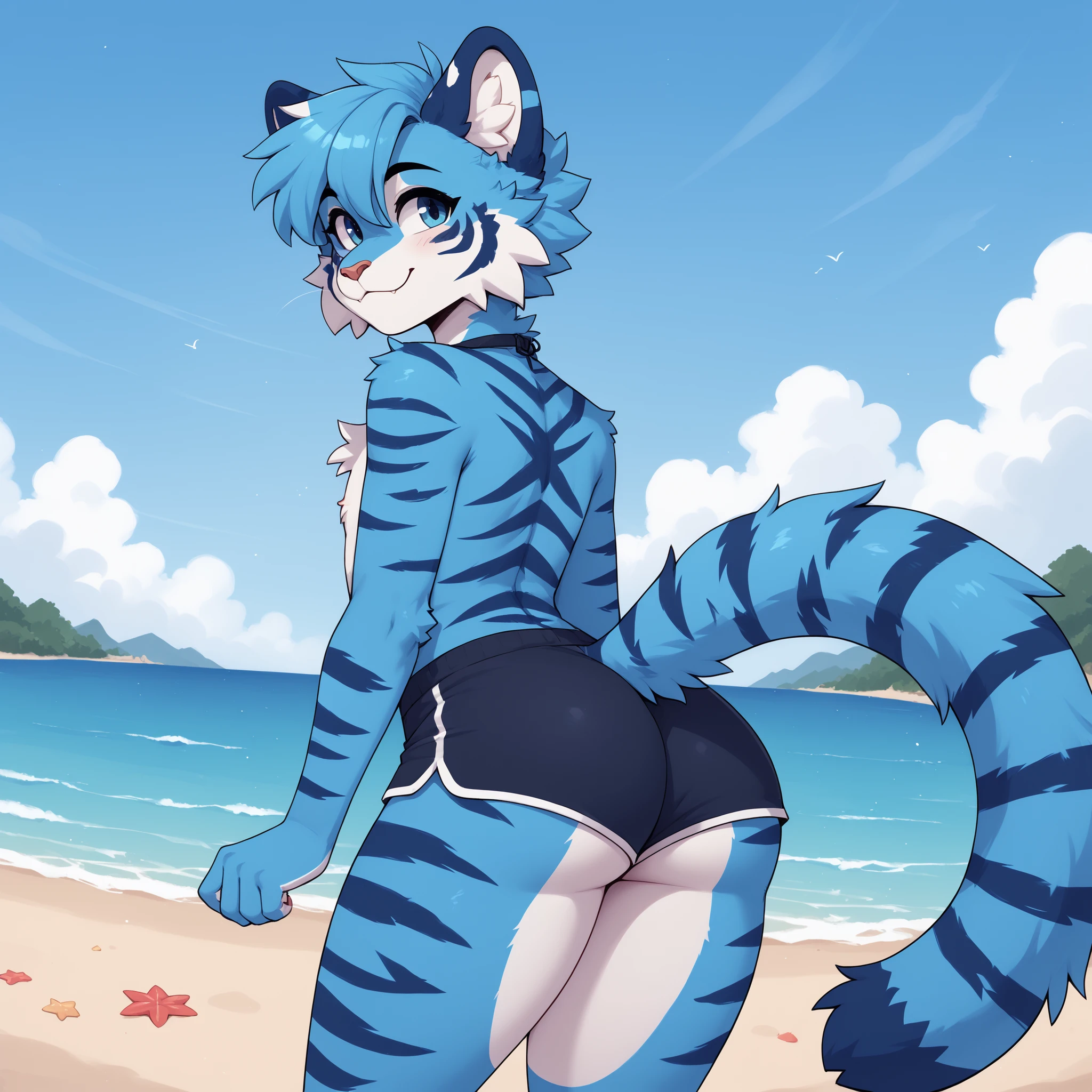 (Masterpiece) (High Detail) (High Res) A close up of A slim, curvy and cute tiger Male with blue fur and fluffy blue tiger patterned fur and bright blue eyes and curvy effeminate shape and a thick fluffy stripy tiger tail and a flat chest and thick thighs and curvy hips. Bright Blue Fur. Dark small Swim shorts. He is outside on the beach. Sunny day. Bright sky. Cinematic lighting. Looking over his shoulder and showing off his butt as he runs to the sea.