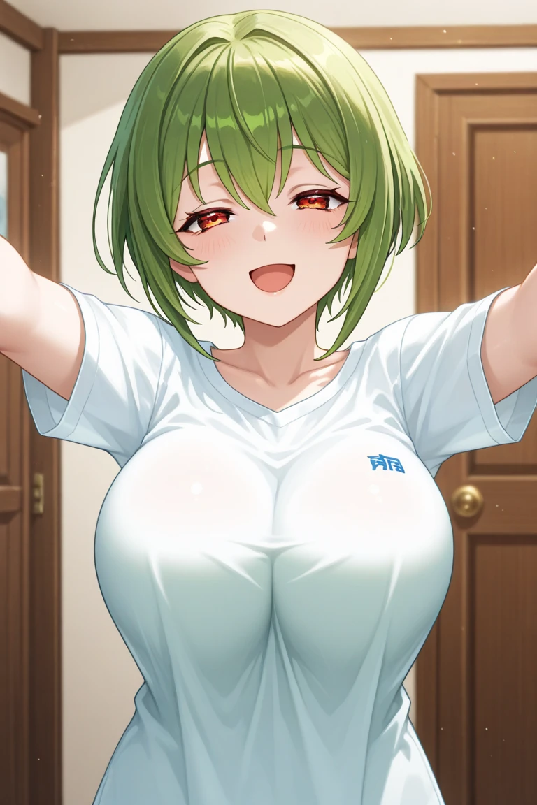 (best quality:1.2),altamente detalhado,ultra-detalhado,(master part:1.3),(illustration:1.1),belos olhos detalhados, anime, Moe,Jogo CG, 
Yae Akari_roupa de banho, cicatriz no seio direito,cabelos verdes, olhos vermelhos, saia de tule transparente azul,corpo inteiro,