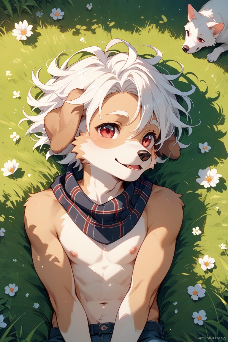 kemoshota, best quality,best resolution,(fluffy anthro furry :1.6),(young :1.6), dog shota, dachshund, albino white fur, naked, heavy breath, plenty drool, dynamic angle, 6 year old boy,Masterpiece,cub,best resolution, white hair boy, ears, tail, pubic fur, sweating, full face blush, naked towel, Solo, kemono, blushes, look at camera, smile open mouth, standing on mouth, view from mountain, cloud fog background, sunrise time, tony tony chopper, beautiful contrast of light and dark, tiny small flaccid phimosis