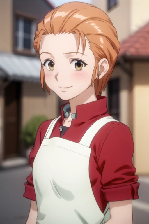 1girl, (masterpiece), (high resolution), (8K), (extremely detailed), (4k), (pixiv), perfect face, nice eyes and face, (best quality), (super detailed), detailed face and eyes, (solo), textured skin, absurdres, highres, 
BREAK
mitowz, long  skirt, short hair, orange hair, red shirt, long sleeves, yellow eyes, white apron, BREAK
standing, cowboy shot, looking at viewer, smile, blush, portrait, upper body, outdoors