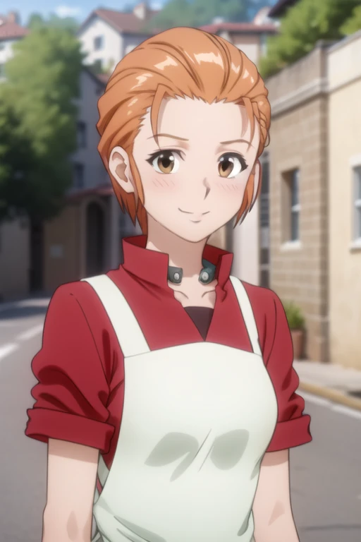 1girl, (masterpiece), (high resolution), (8K), (extremely detailed), (4k), (pixiv), perfect face, nice eyes and face, (best quality), (super detailed), detailed face and eyes, (solo), textured skin, absurdres, highres, 
BREAK
mitowz, long  skirt, short hair, orange hair, red shirt, long sleeves, yellow eyes, white apron, BREAK
standing, cowboy shot, looking at viewer, smile, blush, portrait, upper body, outdoors