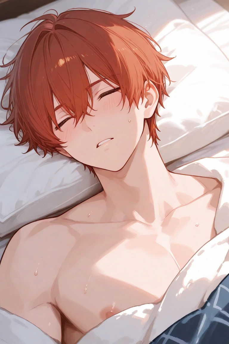 (masterpiece, Highest quality:1.2)、Overhead Shot、True Face、nsfw、Beauty、boyish、Red hair、Completely naked、Pixie Cut、On the bed、Sex、Upper Body、Male hand、sleep、Love Hotel、