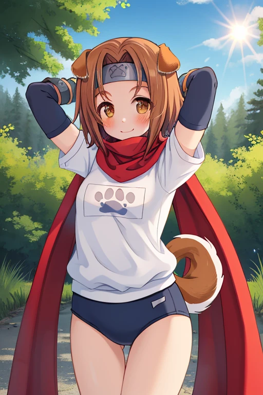 masterpiece, best quality, highres,
KonohaDef, 1girl, solo, brown eyes, blush, smile, short hair, brown hair, animal ears, tail, dog ears, dog tail, dog girl, konoha \(arcana heart\),
paw print, thighhighs, gloves, elbow gloves, fingerless gloves, scarf, cape, headband, thigh gap, fishnets, gym uniform, buruma, fishnet thighhighs, blue buruma,
cowboy shot, looking at viewer, arms behind head, arms up, forest, sunlight, cloudy, laughing, <lora:Konoha:1>