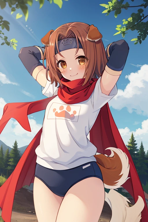 (masterpiece,ultra-detailed,best quality,8K,illustration,shaved:1.2),(petite girl:1.0) <lora:add_detail:1.0>, <lora:Konoha:0.6> KonohaDef,brown eyes, blush, smile, short hair, brown hair, animal ears, tail, dog ears, dog tail, dog girl, konoha \(arcana heart\),paw print, thighhighs, gloves, elbow gloves, fingerless gloves, scarf, cape, headband, thigh gap, fishnets, gym uniform, buruma, fishnet thighhighs, blue buruma,cameltoe