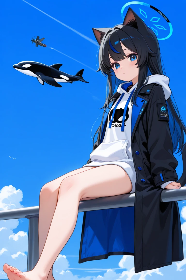 Killer whale