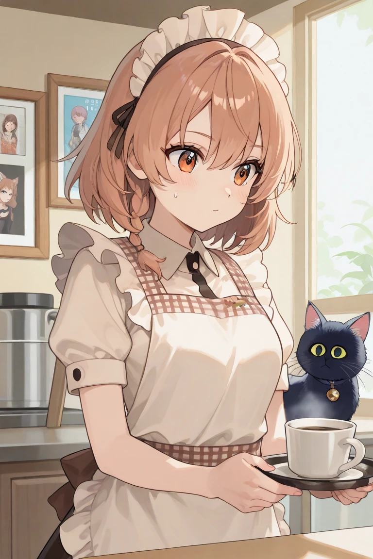 Cat、An illustration、Highest quality、Ochame、cute、Cafe staff