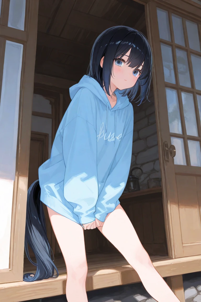 1girl, 1boy, NSFW, (vaginal,sex), (squatting, open legs), penis