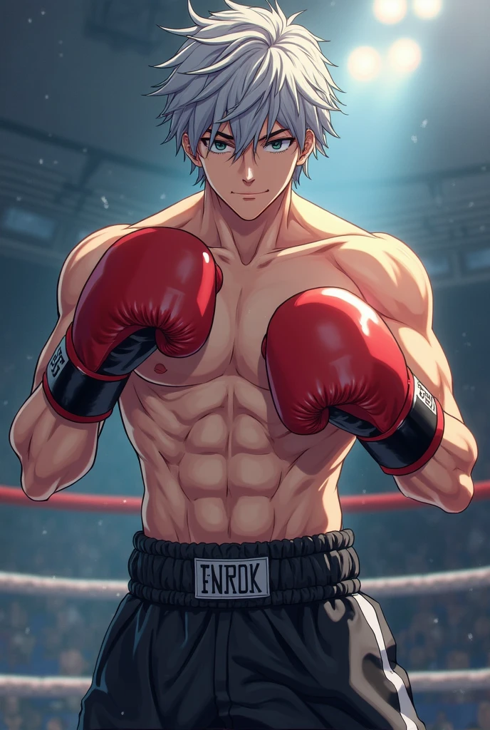 Wolf in a boxing match, sweating, abs, muscles,
