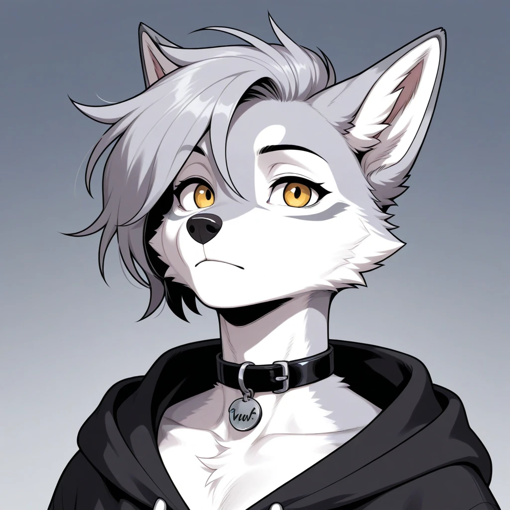 y fluff-kevlar, by Zackary911, by Kenket, by Kilinah, by fluff-kevlar, (masterpiece), (best quality), (anthro furry:1.3, snout:1.2, anthro:1.3, furry:1.2, solo female:1.2), (extremely detailed:1.3), (extremely detailed eyes), masterpiece, female anthropomorphic wolf, 1girl, solo, masterpiece, body fur, fluffy, furry, black coat, outfit, white t-shirt, white backrgound, medium shot, wolf anthro, medium breasts, female, gray hair, gray and white fur, blue eyes, heavy blush, shy