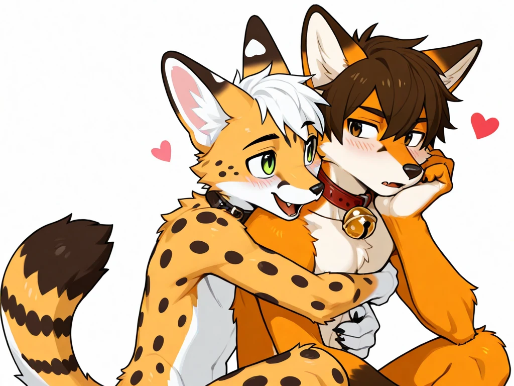 (Best quality, A high resolution:1.2, ultra - detailed, actual:1.37), male people, male people/male people, youthful appearance, enthusiastic boy, kisses,  Male insertion, Master the position，felid, Vibrant orange fur, black hair color hair, pubes, hairy arms, Hairy Thighs, hugs, a purple eye, The genitals, Protruding genitals,heart shape in eyes, Intimacies，cheerfulness，Duo，homosexuality， white  panties，Siberian cat and blue-haired red-eyed snow leopard，large tail，nakeness，titmouse，Hairy chest，The erection
