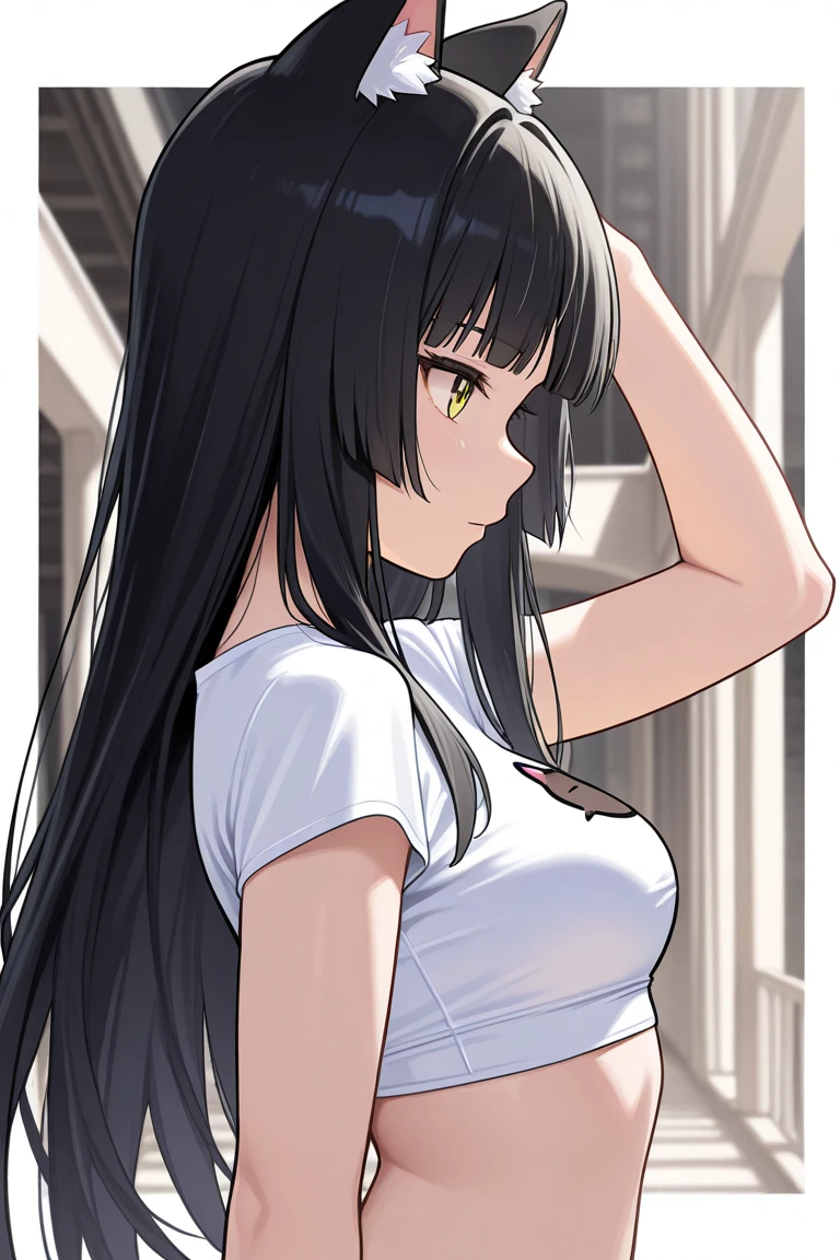 (masterpiece, best quality), (1girl:1.3), dark black skin, african american, female, feminine, skinny, long straight dark black hair, shy expression, brown eyes, transparent background,