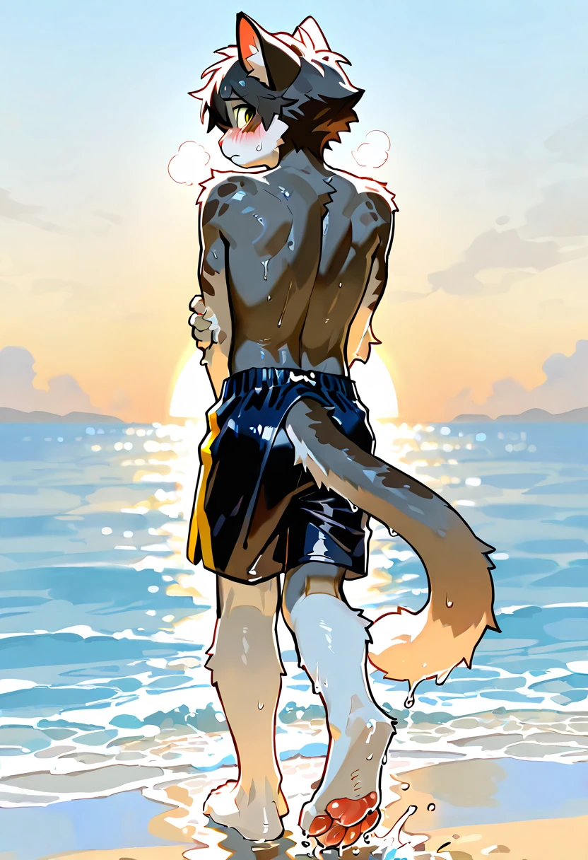 Beste-Qualit, master piece, ultra highres, Realstic, good anatomy, a hare, brown wool,  young man, white-gray hair, short hair, slender body, naked, naked, NSFW, naked верх, immature male, back view,  gray sea, storm, black sand, black beach, black rocks, overcast, Storm clouds