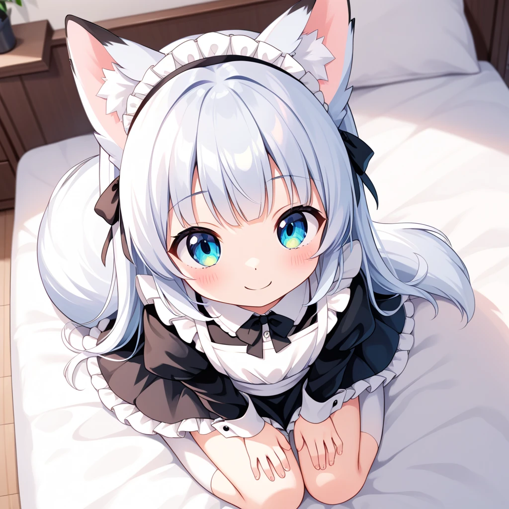 Gray Hair，Cat ear，Light blue eyes，light blue lolita，White socks，Pink ribbon，Playing with a cat
