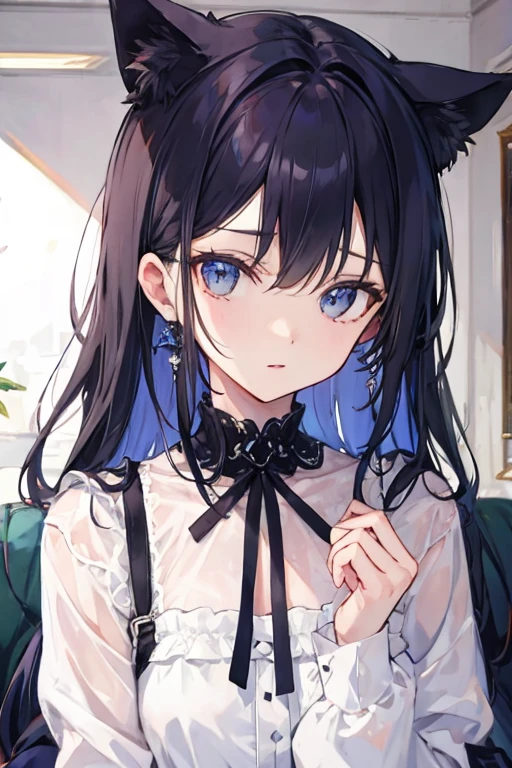 Pitch black cat、Light blue eyes、Curled up alone in the nearby room、Close-up of a cat、The background is night
