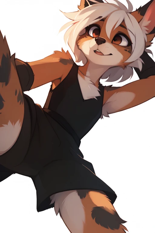 ((SFW)) ((18, cute, furry, Australian Shepherd dog boy femboy wearing a black sleeveless turtleneck leotard with a bulge, and black thigh-high socks, best quality)) ((hands behind head))