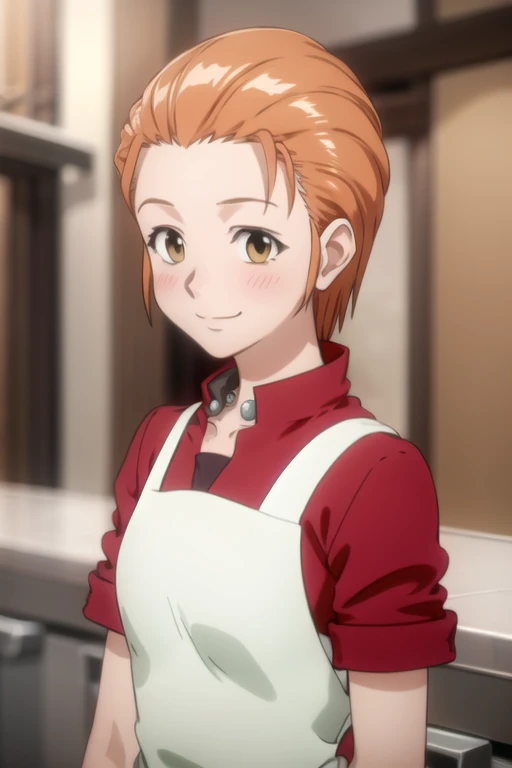1girl, (masterpiece), (high resolution), (8K), (extremely detailed), (4k), (pixiv), perfect face, nice eyes and face, (best quality), (super detailed), detailed face and eyes, (solo), textured skin, absurdres, highres, 
BREAK
mitowz, long  skirt, short hair, orange hair, red shirt, long sleeves, yellow eyes, white apron, BREAK
standing, cowboy shot, looking at viewer, smile, blush, portrait, upper body, outdoors