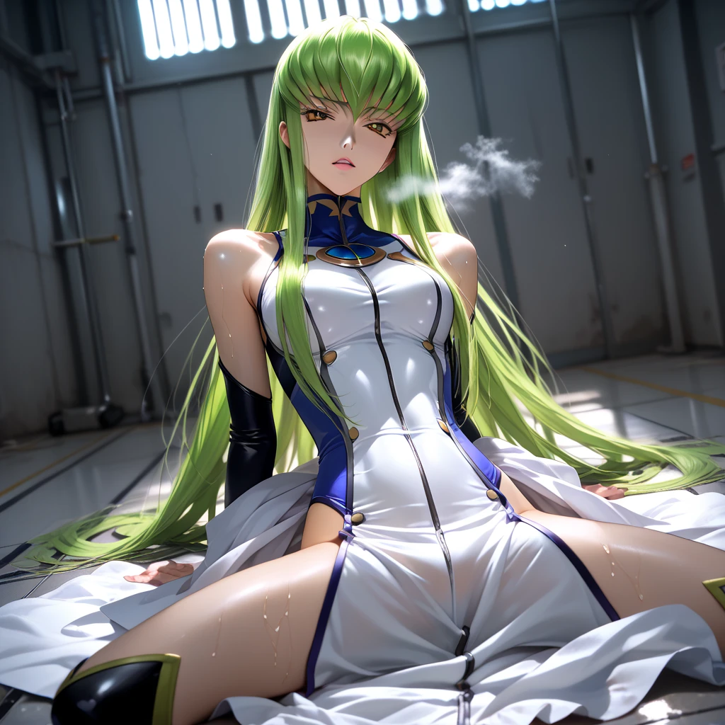 Ahegao、Erotic