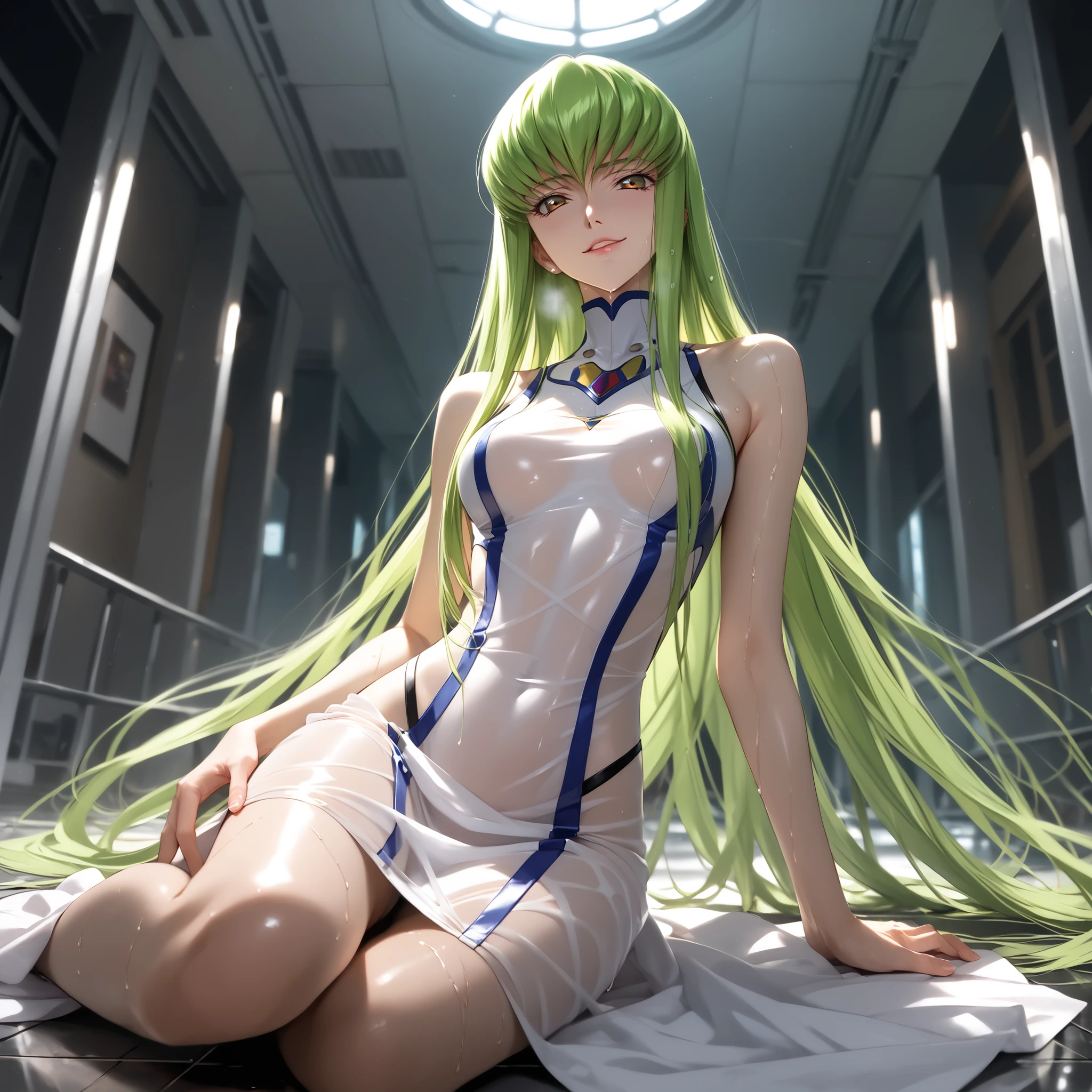 nsfw、photorealistic、REAL HUMAN SKIN、sCore_9, sCore_8_up, sCore_7_up, sourCe_anime, break ((C.C. Code Geass]))   long green hair ,heavy breathing, all men, slender body,  woman sitting on floor , Cover Yourself ,masterpieCe, Best Quality, Amazing Picture Quality, Extremely AesthetiC, wacky clothes, newest, super detailed, very well detailed, expliCit,  half open eyes,ComiCs,Multiple baCk and forth views,from below,  low angle、seeding press、Detailed cat、Rape SCenes、fat man、、 ,wet and see-through absard dress、seeding press、((horny face:1.5))