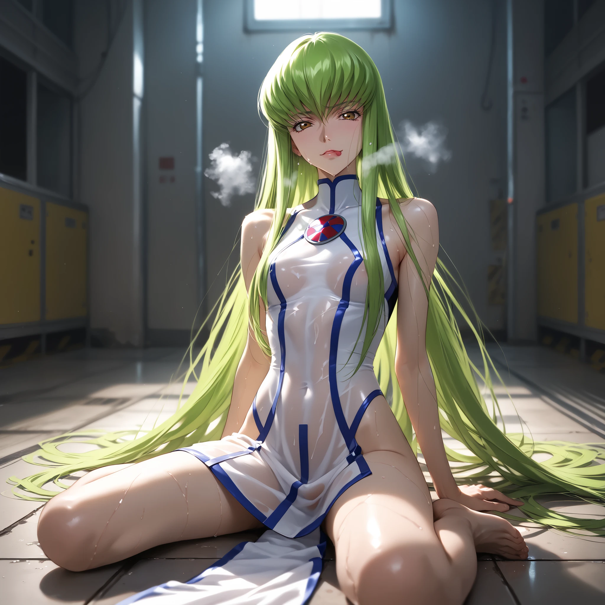 nsfw、photorealistic、REAL HUMAN SKIN、sCore_9, sCore_8_up, sCore_7_up, sourCe_anime, break ((C.C. Code Geass]))   long green hair ,heavy breathing, all men, slender body,  woman sitting on floor , Cover Yourself ,masterpieCe, Best Quality, Amazing Picture Quality, Extremely AesthetiC, wacky clothes, newest, super detailed, very well detailed, expliCit,  half open eyes,ComiCs,Multiple baCk and forth views,from below,  low angle、seeding press、Detailed cat、Rape SCenes、fat man、、 ,wet and see-through absard dress、seeding press、((horny face:1.5))、 Sheer Pubic Hair