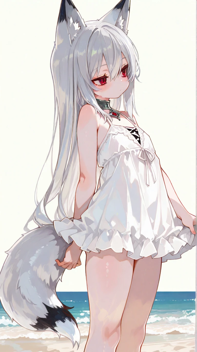 Cabello largo plateado, ojos verdes, dress, white clothes, flat breast, sonrisa, happy, wolf ears, wolf tail, abdomen lindo, muslos hermosos, forest, womb tattoo