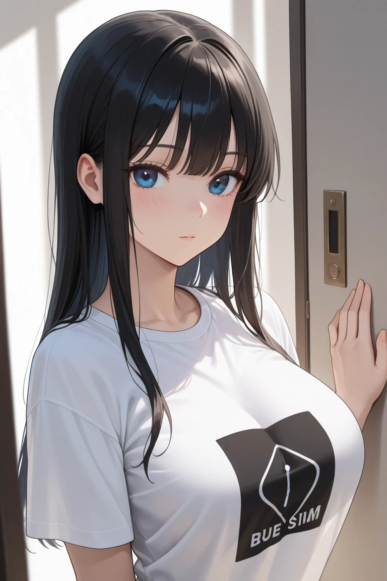 Cute girl, long black hair, bangs cut in the front, blue eyes, a ring in one of her lower lips, cold features, gray short-sleeved T-shirt, big breasts, short pants.