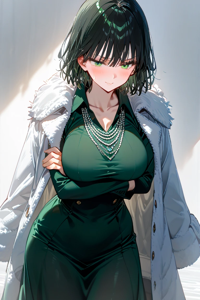 (((pixel-perfect, detail-perfect))), solo, 1girl, , fubuki, fur coat, collared dress, collarbone, necklace, looking at viewer, closed mouth, standing, front view
,fubuki(one punch man), high quality ,a dark green dress , high collar, thigh , white pearl , (background gradient:1.2) ,sfw