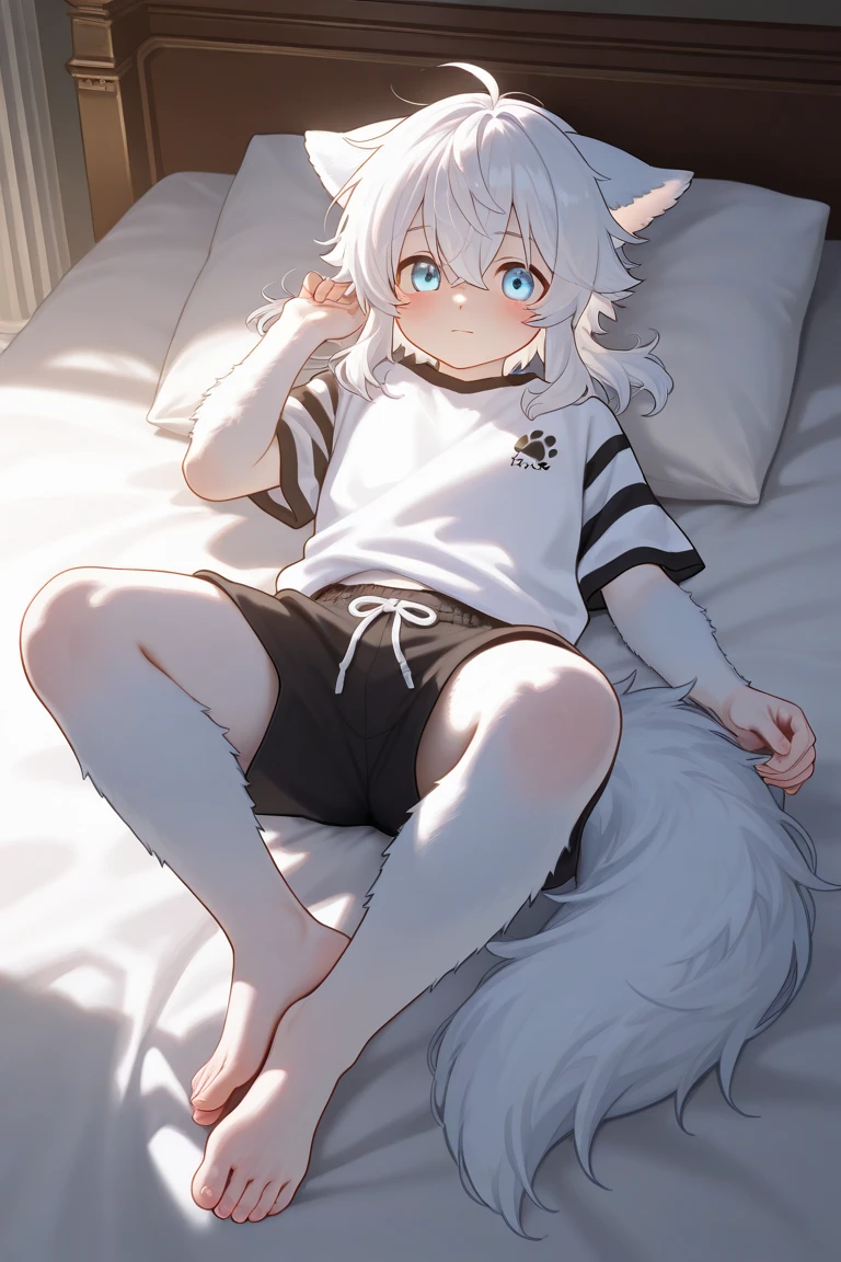 masutepiece, High quality, Absurd resolution, Digital Painting \ (The artwork \), By Dagasi, yupa, Kiyosan, (fluffy fur, White fur, Full body fur,), Male child,elementary student,Shota,独奏,One subject,inside in room, Green eyes,Closing your eyes, White hair,1tail,foxes,kawaii,Sweating profusely all over the body,White gym clothes wet with sweat,kawaii顔,sweaty clothes,Shorts,Bare legged, Bright eyes,4 Other ,the panorama, Character Focus. Detailed background, cloud background,schools,Viewpoint from above