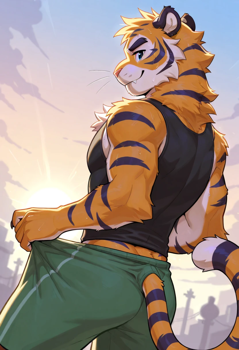 Furry the tiger who is sneaking a kite in the penultimate period