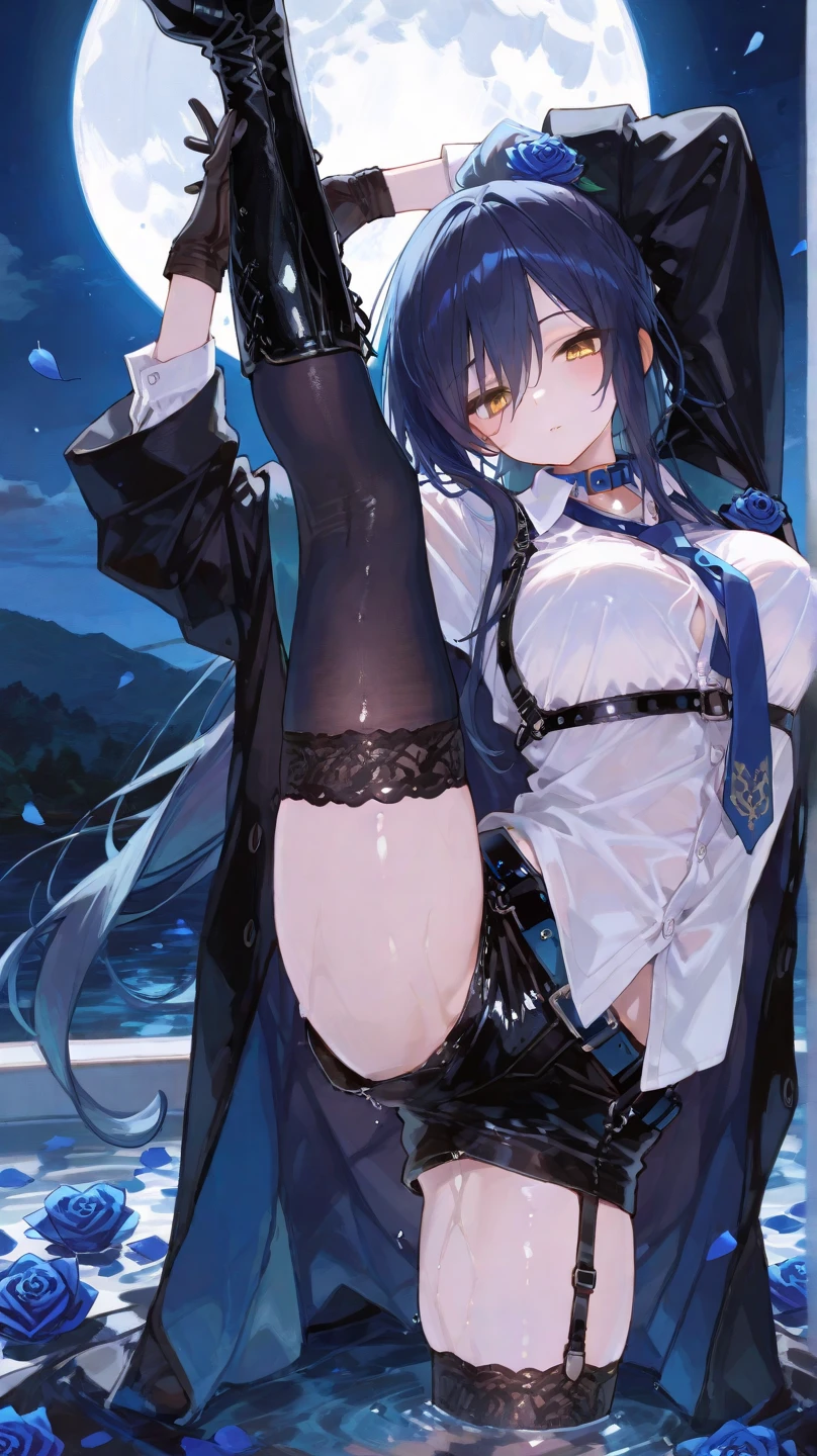 1 girl,Further details,Beautiful background,Waterfront,night,gem,Light blue eyes,ponytail,,Dark purple long hair,Saggy breasts,Big Breasts,Full nudity,Black Lingerie,large bulging nipples,Pussy,Expose,Transparent clothes,Wet