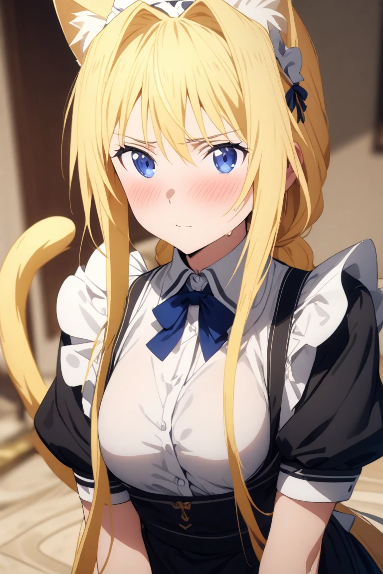 1girl,solo,Rit_BFTHP blonde hair long hair french braid blush((slaveclothes)) large breasts blue eyes,(slim)