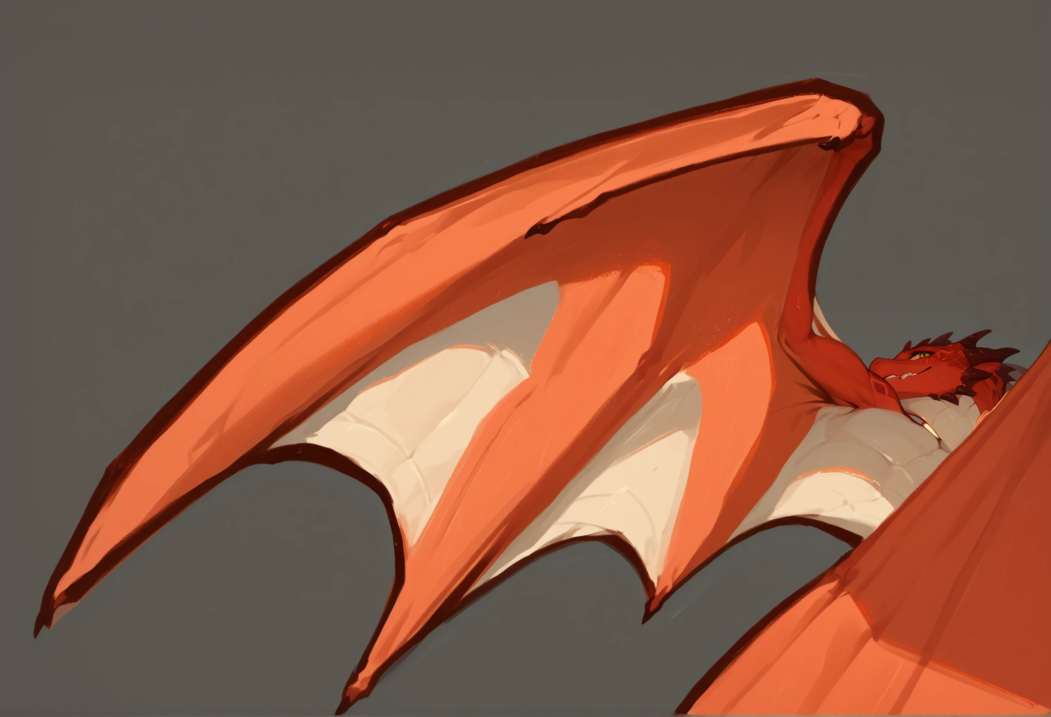 dragon， Wings 