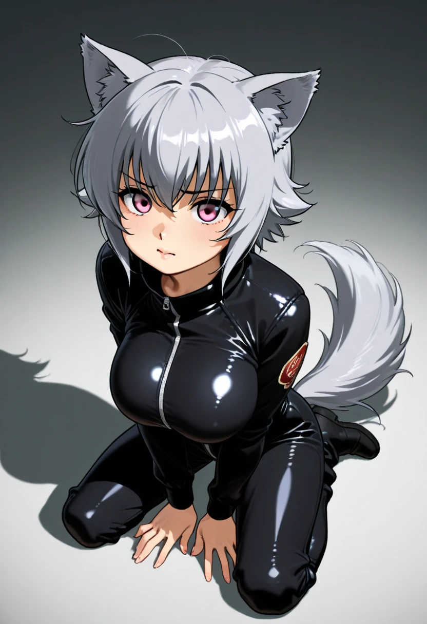 1girl,(lisanna strauss)+, (all fours), absurdres, black and white cat outfit, white hair, highres, looking at viewer, big breasts,  solo, animal