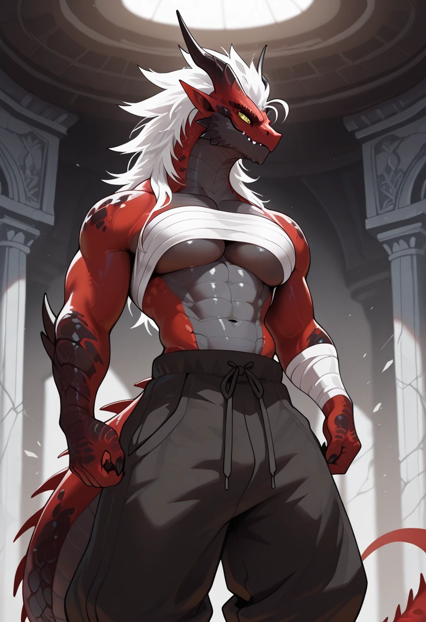 photography, {standing}, no armor, detailed, ultra realism shading, anthro, (dragon | red body | white hair), male, solo, kemono, ((rembrandt)), muscular, warrior, ornaments, mane hair, full body, {portrait}, medieval castle, bodypaint,detailed eyes, barbarian, dragon horn, dragon tail, indoors, big bulge, scars