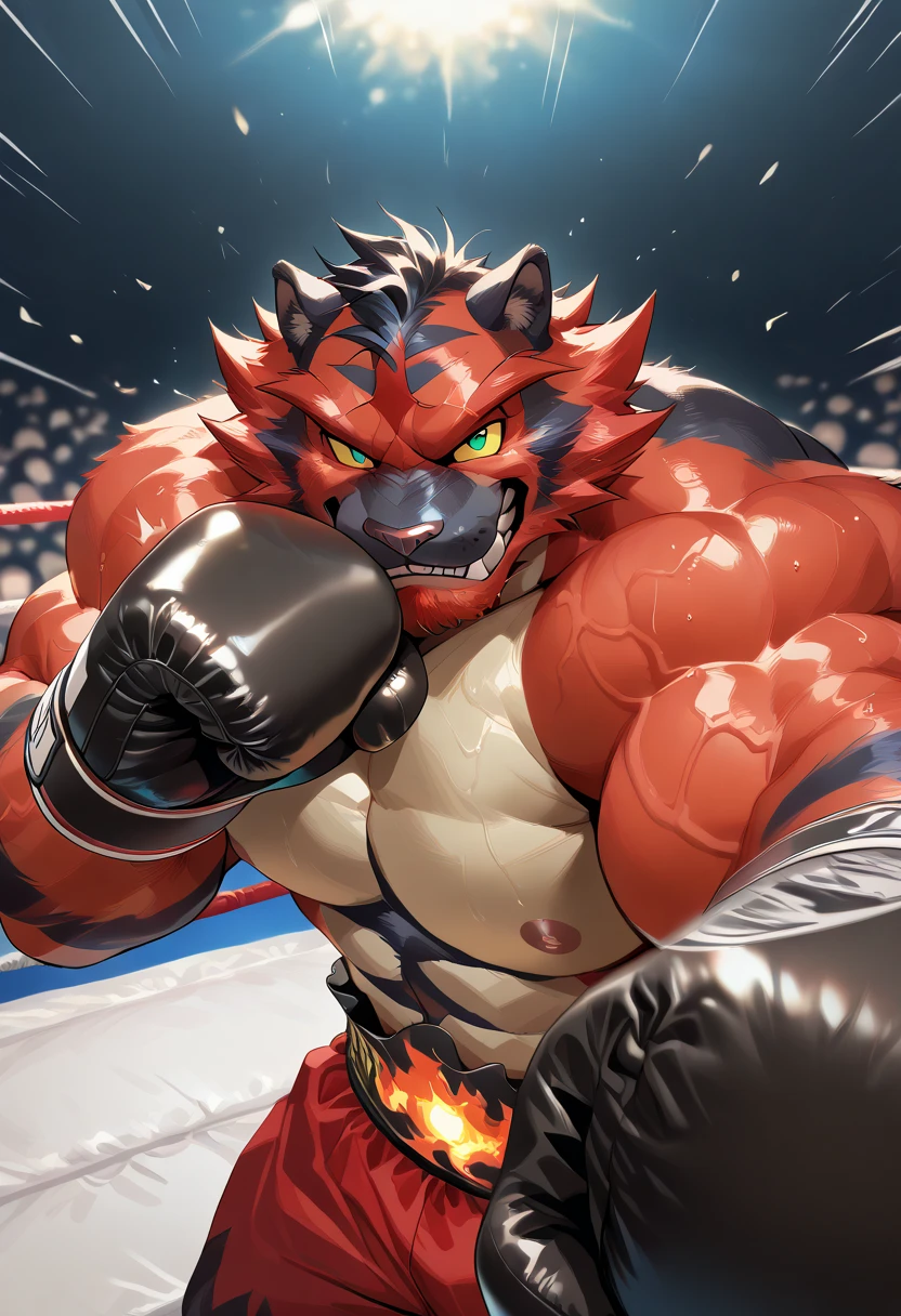 muscular anthro incineroar wearing boxing gloves. 4k, high resolution, best quality, perfect colors, perfect shadows, perfect lighting, posted on e621, furry body, solo, anthro incineroar, body hair, older, male, adult, masculine, (heavily muscular, buff:1.2), bare torso, correct anatomy, (detailed fur, epic, masterpiece:1.2), (detailed gym background, nighttime), sexy shadows, (by takemoto arashi:1, by Taran Fiddler), (boxing shorts:1.2), (detailed eyes:1.2), sweaty:1, sweat:1.2, shiny fur, full body, boxing gloves, kneeling on floor, (sweat:1.4), open mouth, visible breath, exhausted, (arms lowered, arms down:1.1)