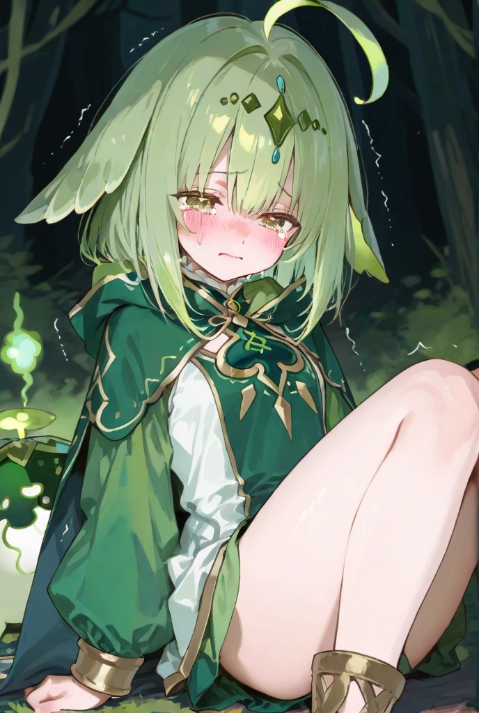 ((masterpiece, best quality)),high resolution,ultra detailed,detailed background,8k,16k,perfect lighting,detailed beautiful eyes,1girl,solo,nsfw,embarrassed,blush,look at viewer,show off pussy, (bottomless,squatting,from front:1.4),skirt lift,(steam,sweat,yellow peeing:1.2),wavy mouth,open mouth,half-closed eyes,(green hair,short stature,short body,purple eyes,kawaii,wooden house,colleirnd,colleidef,skinny,anime style),