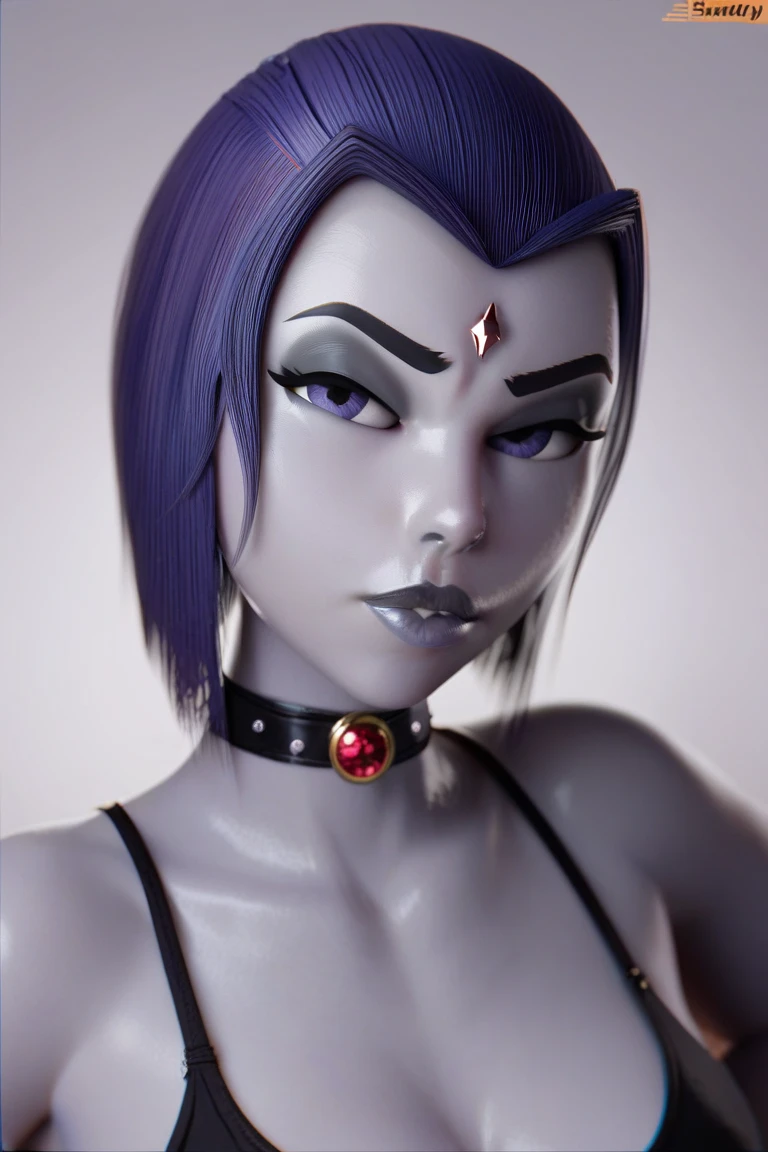 score_9, rating_safe, raven from titans, portrait