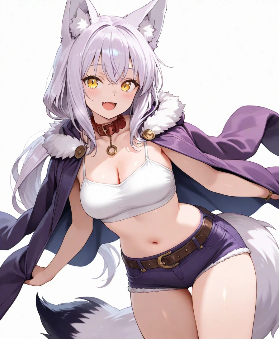 top quality, best quality, by sollyz, High-quality illustrations, masterpiece)(kemono, furry anthro), round, female, Shirou Ogami, (Brand New Animal), wolf, bikini