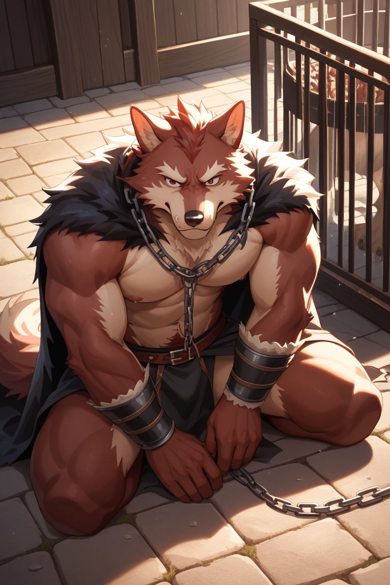 (photorealistic:1.4), (nsfw:1.3), 8k, (masterpiece), best quality, highest quality, (highly detailed fur:1.5), (detailed muscles:1.4), (detailed face:1.5), (realistic eyes), original, highres, unparalleled masterpiece, ultra realistic 8k, perfect artwork, grey wolf, male, middle aged, (general:1.2), (naked:1.4), (severely damaged body:1.4), scars, long hair, braided hair, white braids, (dungeon:1.3), (shackled:1.3), (prisoner:1.2), (torture:1.4), (blood:1.3), (detailed wounds)