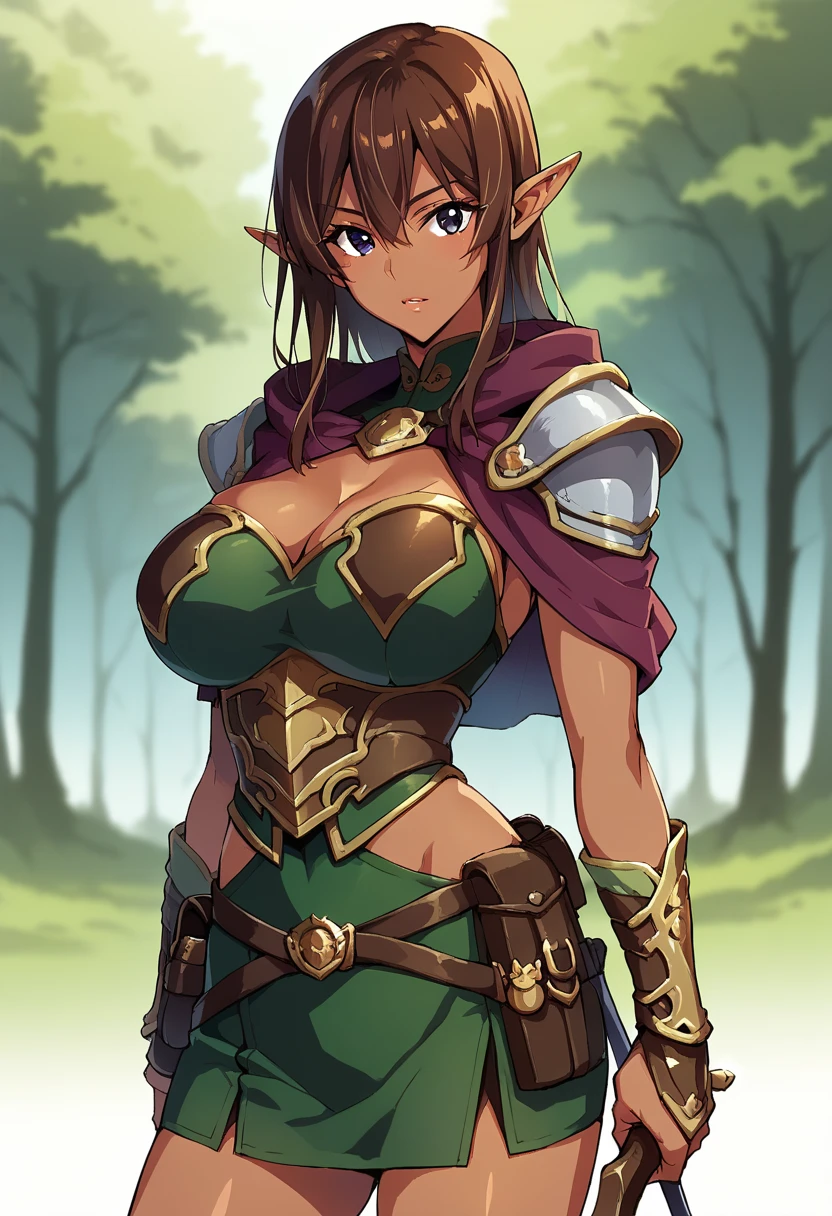 NJAkiV4, Estilo Takeda Hiromitsu, Best Quality, high resolution, (light chocolate hair), wavy hair, (shoulder length hair), Collect, (huge breasts), shiny skin, (elegant), annoyed, Wide hips, thick thighs, (big ass), earrings, On the grass, (Valley), seductive, tight clothes, choker, (elven dress), very short dress, green dress, low-cut dress, big breasts, (pointy breasts), (chubby girl), (chubby), (stomach), skirt open on one side, long pointed elven ears, waders, brown boots, sword, (dagger in one hand), combat stance, bending slightly, leaning forward