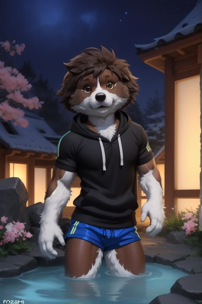 ((Best quality, masterpiece, detailed anatomy, detailed eyes, detailed hands, perfect lighting, perfect shading.)), by Buta99, by SpiritD, 1male, Wolf, brown furs, tight body, dark brown eyes, skinny body, young body, blue hoodie crop top, black jogger, black boots, smile, show sharp teeth, on the lake
