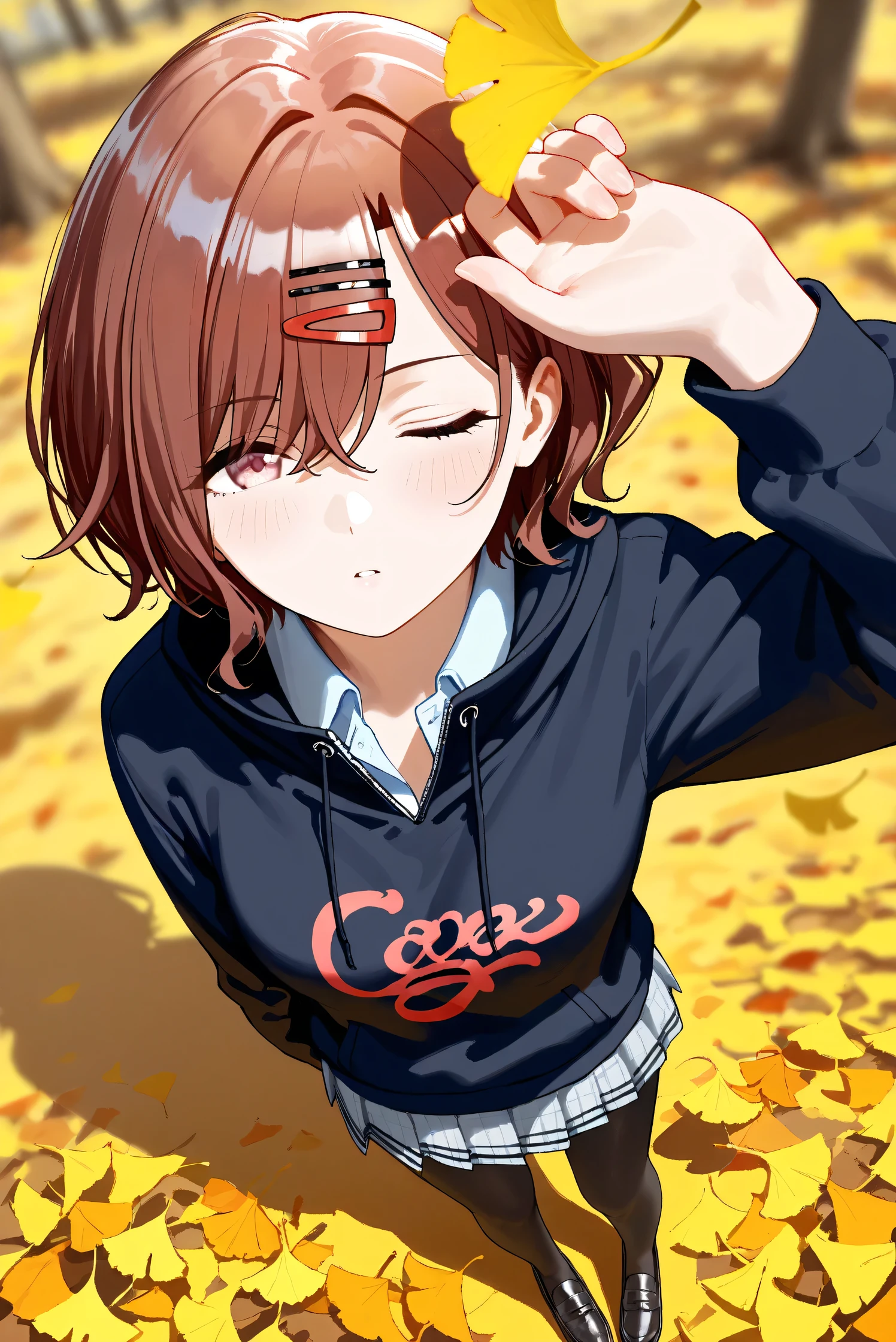 (Masterpiece), (Highest quality), (Very detailed), 
(The best shape), (Best Shadow), (Absurd), 
(Detailed background), (So beautiful), Shiny , 
Extraordinary, Countershading, 8k, 32K, High resolution, Beautiful eyes in every detail,
Very Detailed CG, UHD,

Score_9, Score_8_up, Score_7_up, Source_anime, 
(Pastel painting:1.2), (Watercolor painting:1.2),
(Masterpiece, Detailed:1.2), (Foreshortening:1.3),

Cinematic, Dramatic, (Depth of field:1.4),
(Blurry background:1.4), (Realistic background:1.4),
(Foreshortening:1.3),Dynamic angle, 1 girl,
Outdoor, autumn, Ginkgo, (autumn leaves:1.2),
from above, (High angle:1.1), (wide shot:1.3),

Higuchi Madoka,
The idolmaster shiny colors,

(school uniform:1.3),
hoodie, black hoodie, long sleeves hoodie,
Shirt collar,
Mini skirt, Light blue shirt, 
pantyhose, black pantyhose,
loafers,

(Blush:1.3), Expressionless, parted lips,
Hand guard,
looking up, one eye closed, looking at viewer,
Realistic skin, Shiny skin,