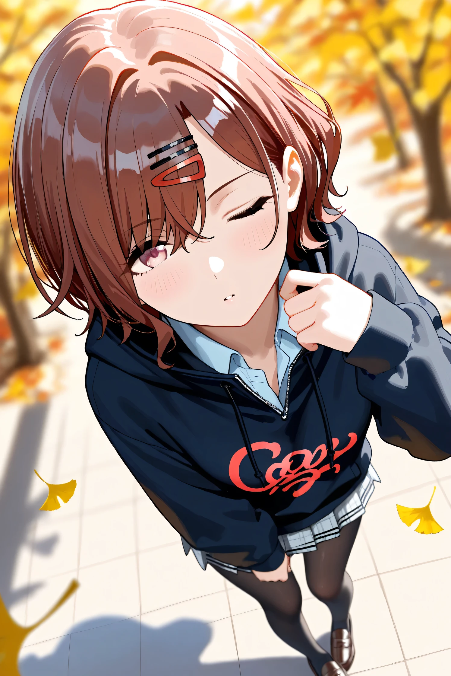(Masterpiece), (Highest quality), (Very detailed), 
(The best shape), (Best Shadow), (Absurd), 
(Detailed background), (So beautiful), Shiny , 
Extraordinary, Countershading, 8k, 32K, High resolution, Beautiful eyes in every detail,
Very Detailed CG, UHD,

Score_9, Score_8_up, Score_7_up, Source_anime, 
(Pastel painting:1.2), (Watercolor painting:1.2),
(Masterpiece, Detailed:1.2), (Foreshortening:1.3),

Cinematic, Dramatic, (Depth of field:1.4),
(Blurry background:1.4), (Realistic background:1.4),
(Foreshortening:1.3),Dynamic angle, 1 girl,
Outdoor, autumn, Ginkgo, (autumn leaves:1.2),
from above, (High angle:1.2), (wide angle:1.3),

Higuchi Madoka,
The idolmaster shiny colors,

(school uniform:1.3),
hoodie, black hoodie, long sleeves hoodie,
Shirt collar,
Mini skirt, Light blue shirt, 
pantyhose, black pantyhose,
loafers,

(Blush:1.3), Expressionless, parted lips,
Hand guard,
looking up, one eye closed, looking at viewer,
Realistic skin, Shiny skin,