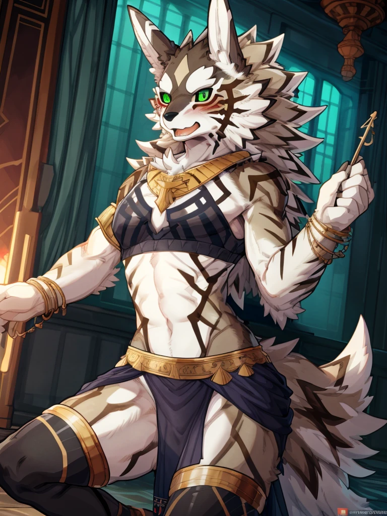 ((by Buta99, by SpiritD, best quality, masterpiece, perfect anatomy, detailed picture)), 1female, Jackal, Seth, Tokyo Afterschool Summoner, brown furs, green sclera eyes, young body, skinny body, tail, big blushes, embarrassed, harem crop top, harem leg wear, harem loincloth, dancing, in the desert night club background