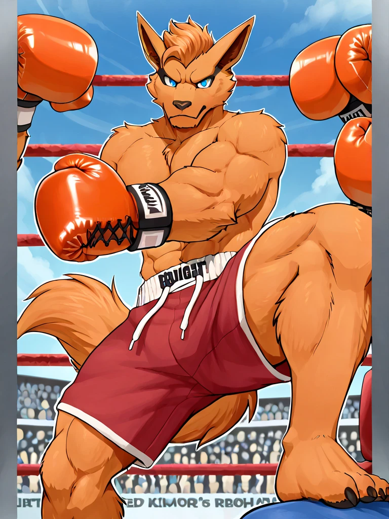 Wolf, By Meesh, Big Pecs, Fluffy Tail, 1boy, abs, animal ears, bara, brown fur, bulge, dog boy, dog ears, dog tail, erection, erection under clothes, facial hair, fingerless gloves, foreshortening, from below, furry, furry male, gloves, large pectorals, looking at viewer, male focus, muscular, muscular male, navel, nipples, orange fur, pectorals, shoes, short hair, sneakers, solo, stomach, sweat, tail, thick eyebrows, thick thighs, thighs, topless male, wrestling outfit, wrestling ring