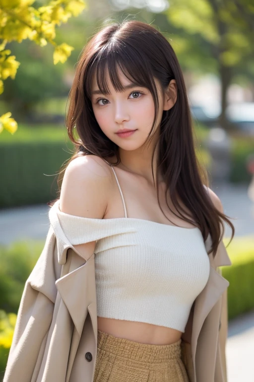 (8k, RAW photo, best quality, masterpiece, ultra detailed:1.2),(realistic, photo-realistic:1.4), upper body shot, (extremely cute Japanese idol:1.2), 20 years old, (detailed skin, detailed face: 1.2), sharp focus, SIGMA 85mm f/1.4., depth of field, blur background, bokeh, cinematic lighting, soft light, midnight, pale skin, brown eyes, naughty smile, seductive, kawaii, looking at viewer, short straight black hair, random solid winter outfit, random pose, park, big breasts